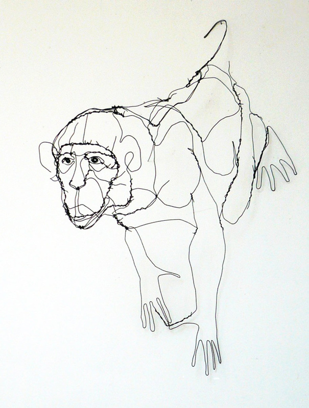 Alexander CalcerAnimal Sketching 2009